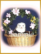 FERN04.jpg